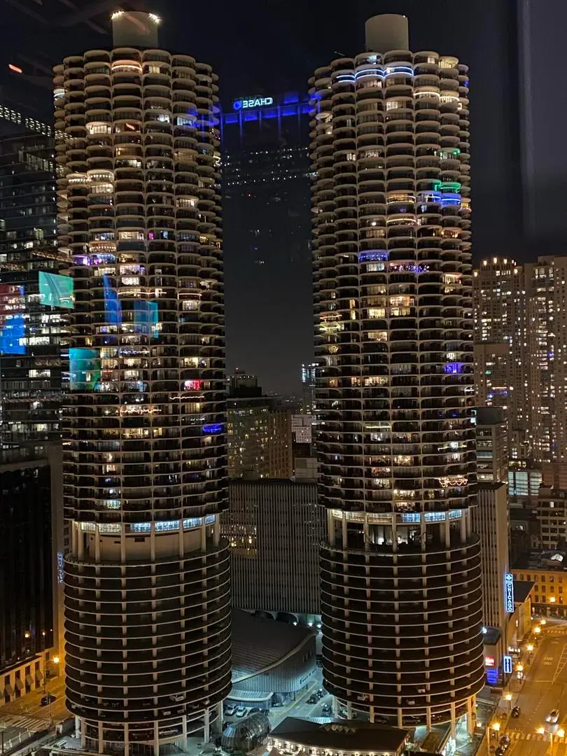 300 N State Street #2910, Chicago, IL 60654 - #1