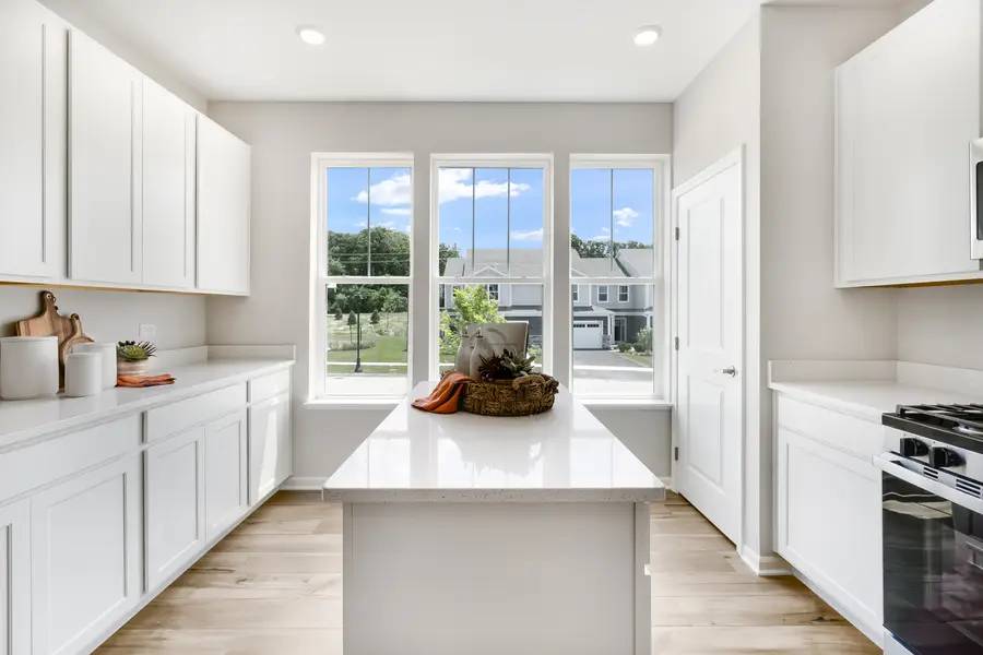 12321 Tinsley Street, Huntley, IL 60142 - #3