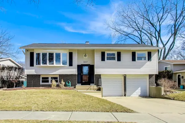 1107 N Greenfield Lane, Mount Prospect, IL 60056