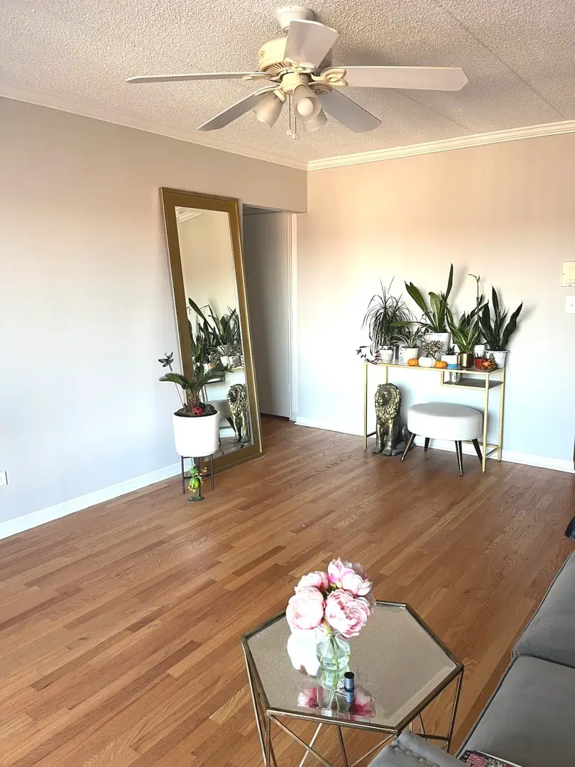 7945 S Oketo Avenue #408, Bridgeview, IL 60455 - #2