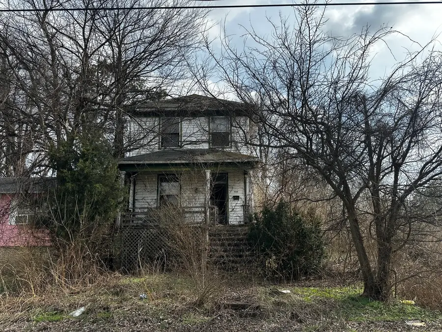 725 24th Street, Cairo, IL 62914 - #3