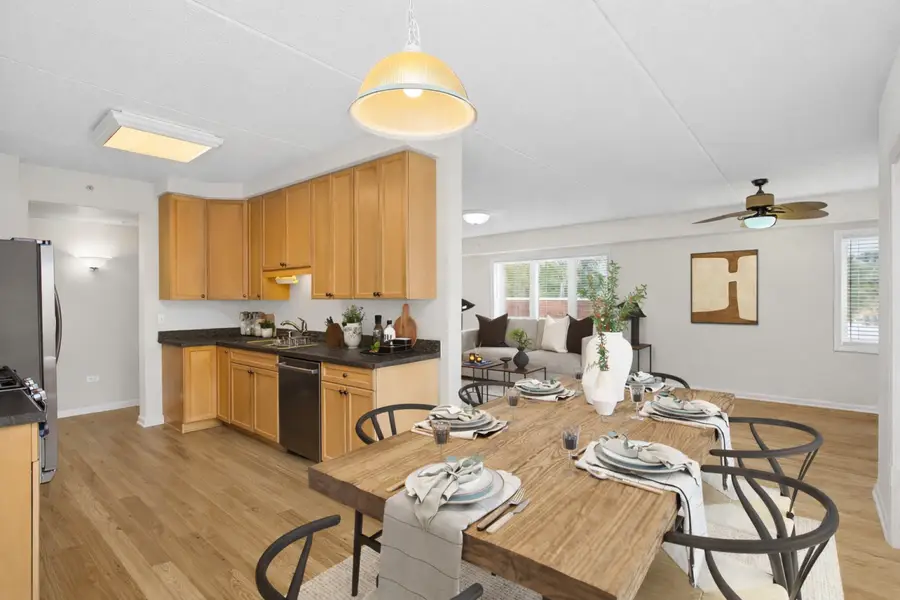 365 Graceland Avenue #205A, Des Plaines, IL 60016 - #3