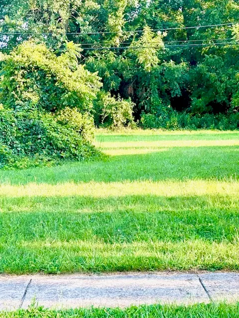 3803 W 139th Street, Robbins, IL 60472 - #2