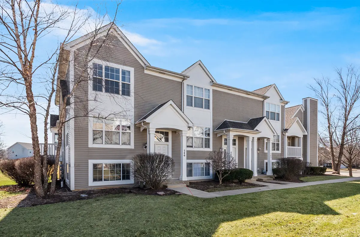 546 Meadow Lily Drive, Joliet, IL 60431 - #1