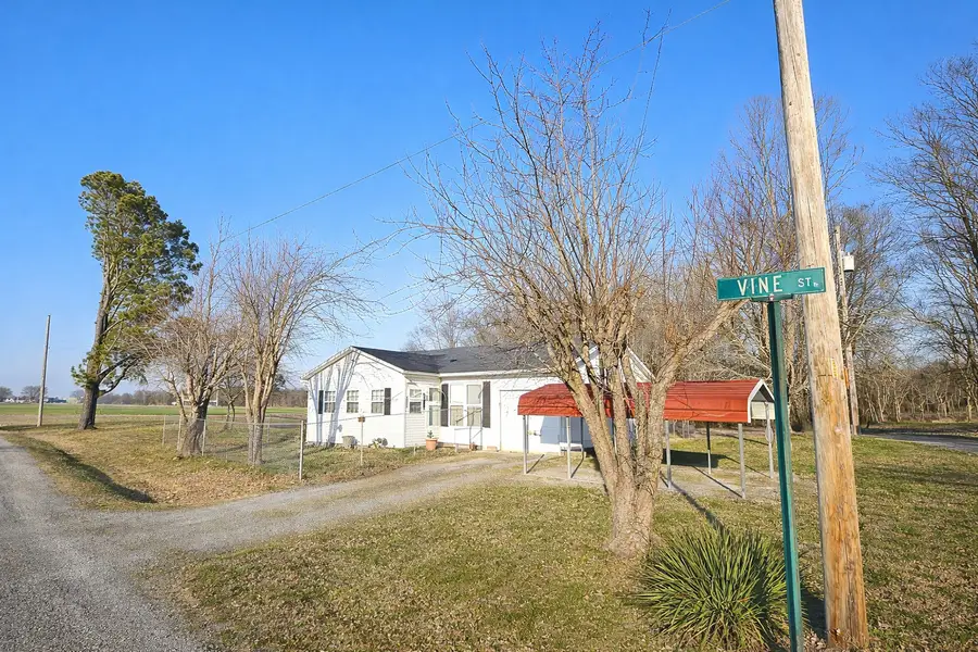 700 Vine Street, Pulaski, IL 62976 - #3