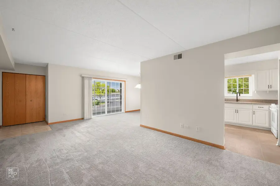 16036 Crystal Creek Drive #2A, Orland Park, IL 60462 - #2