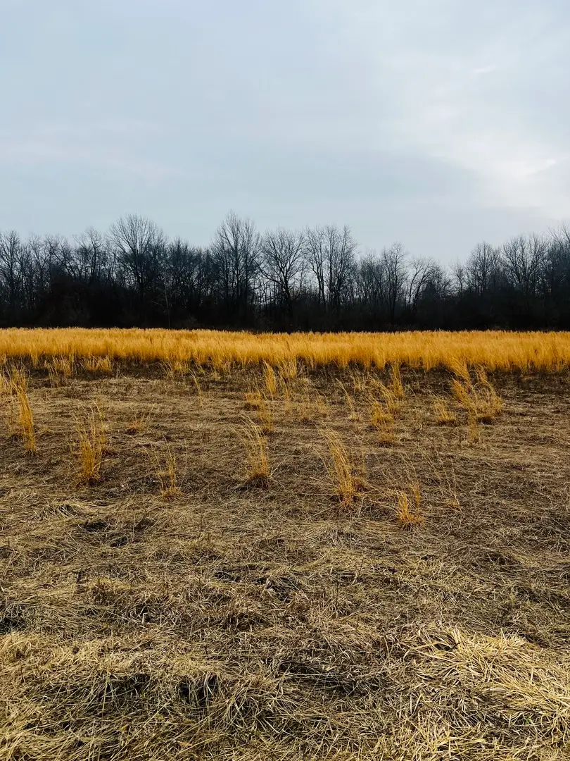 0000 4750 Road, Pembroke, IL 60958 - #1