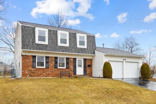 424 N Salem Drive, Schaumburg, IL 60194