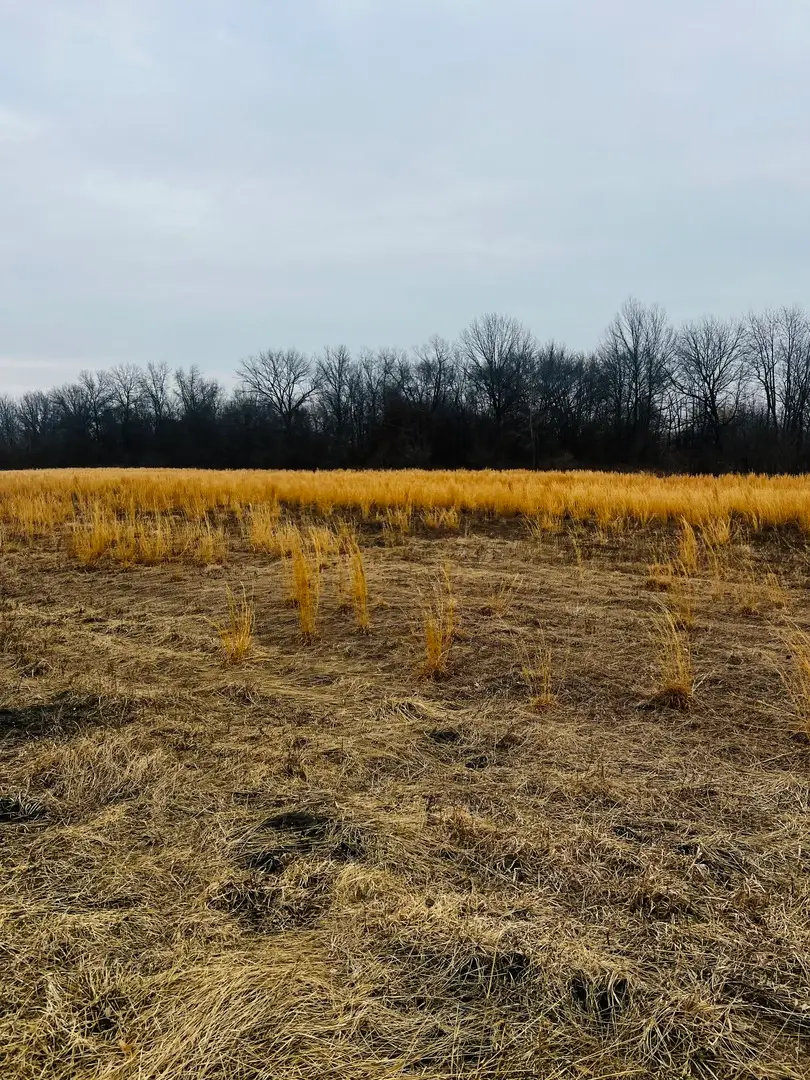 0001 4750 Road, Pembroke, IL 60958 - #2