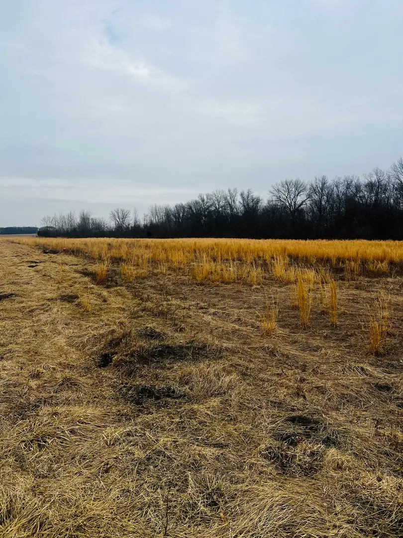 0001 4750 Road, Pembroke, IL 60958 - #3