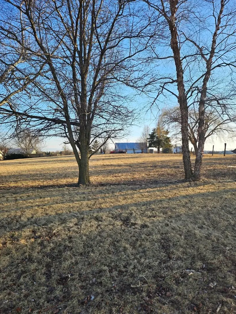 8251 W Pauling Road, Monee, IL 60449 - #1