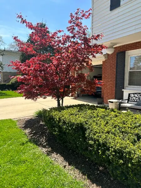 124 S Fairlane Avenue, Elmhurst, IL 60126 - #2