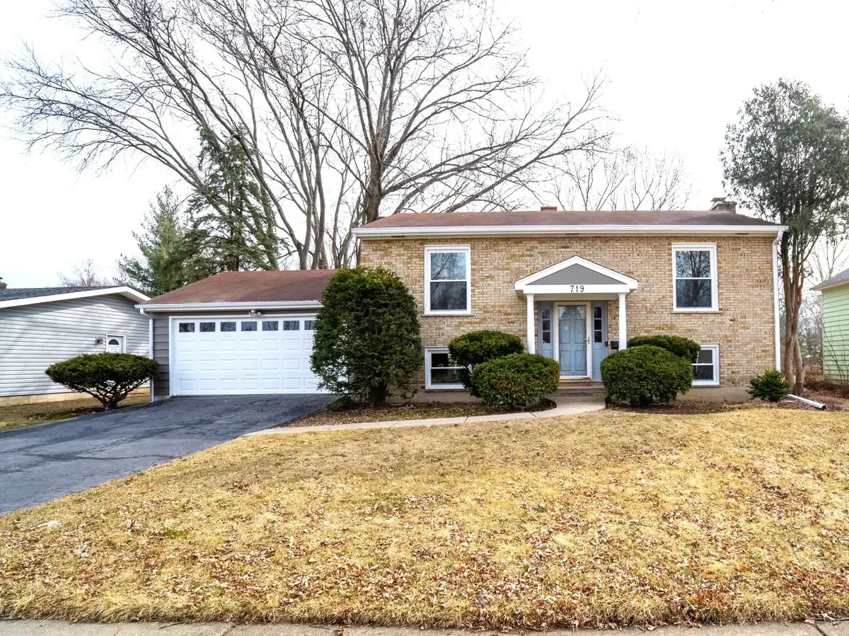 719 Webster Street, Algonquin, IL 60102 - #1