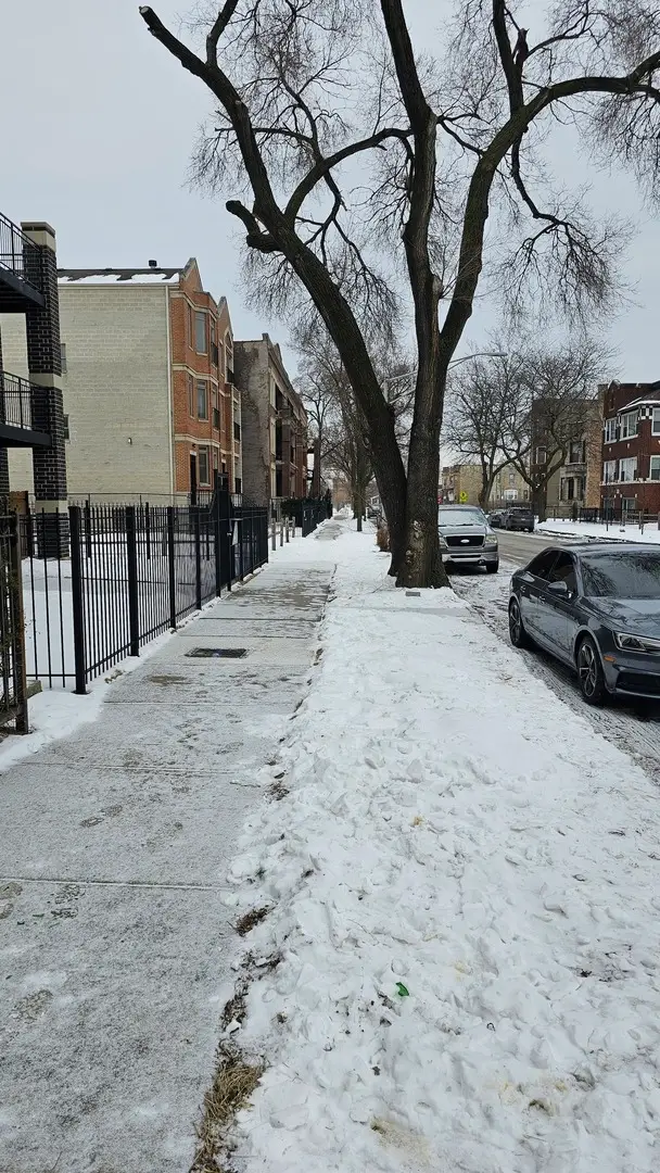 5319 S Calumet Avenue, Chicago, IL 60615 - #3