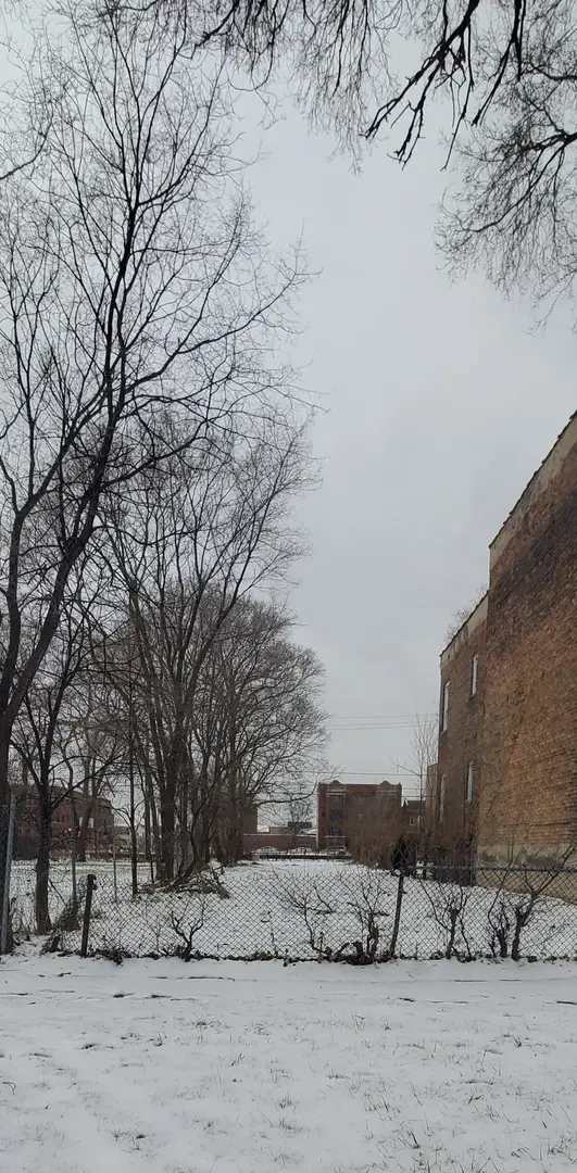 5254-56 S Indiana Avenue, Chicago, IL 60615 - #2