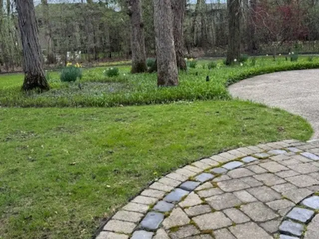 371 Red Oak Lane, Highland Park, IL 60035 - #2