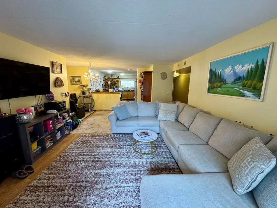 8700 W Evelyn Lane #205, Chicago, IL 60656 - #2