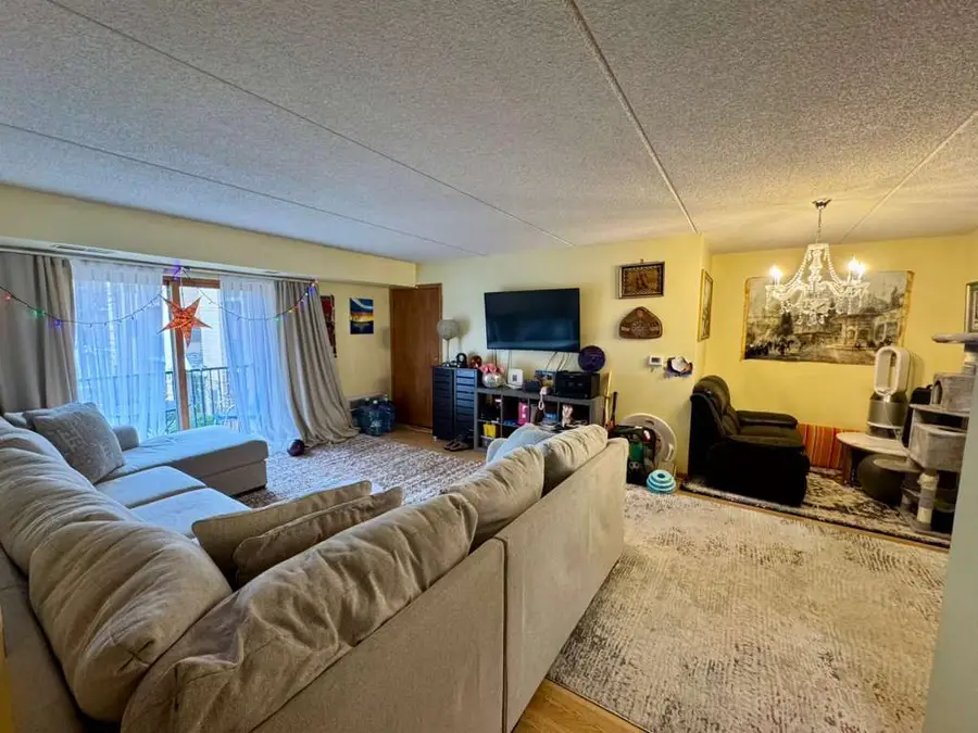 8700 W Evelyn Lane #205, Chicago, IL 60656 - #3