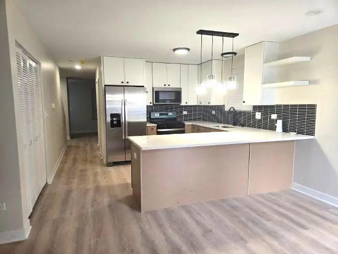 1810 S Hamlin Avenue, Chicago, IL 60623 - #2