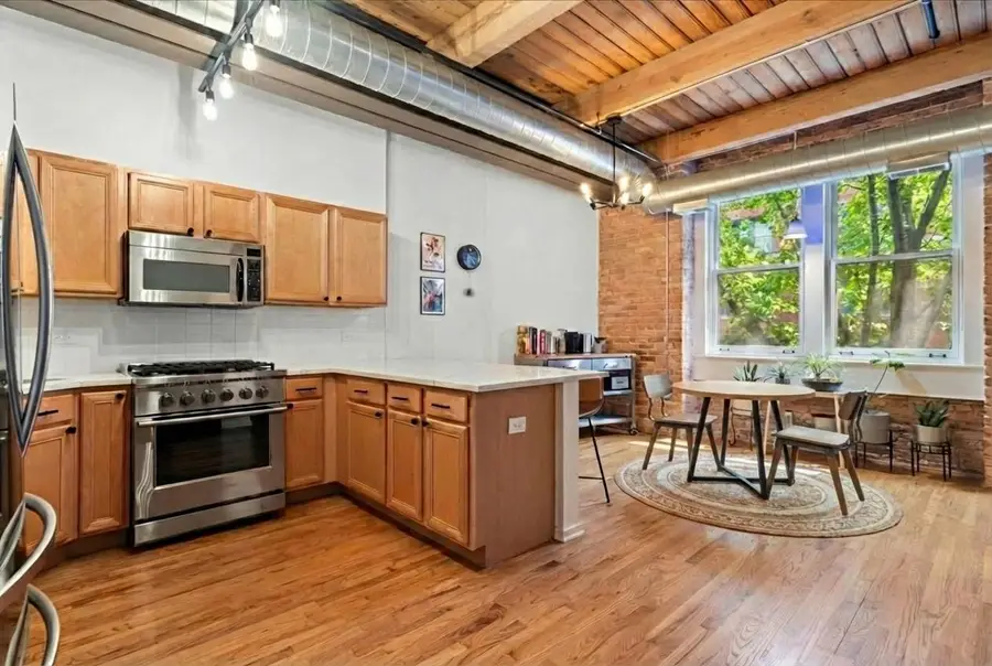 420 W Ontario Street #202, Chicago, IL 60654 - #3