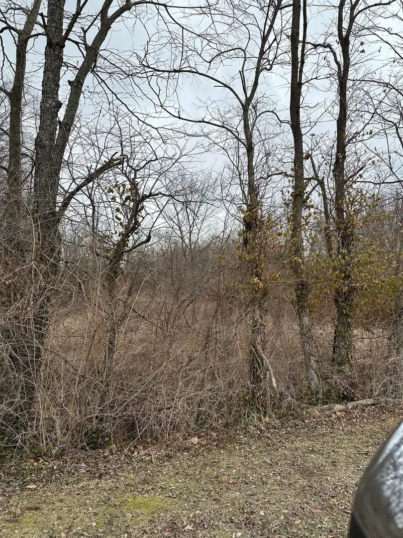 Lot 1 Pecan Road, Sunfield, IL 62832 - #2