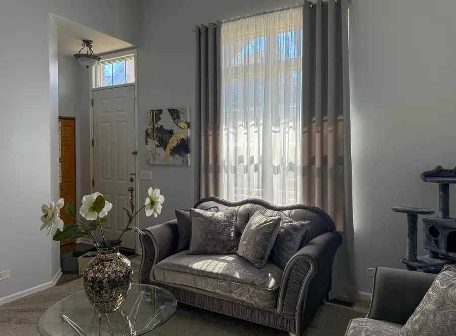 1139 River Bend Lane, Lisle, IL 60532 - #2