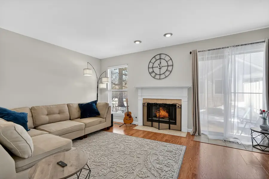 244 Steeplechase Court, Schaumburg, IL 60173 - #2