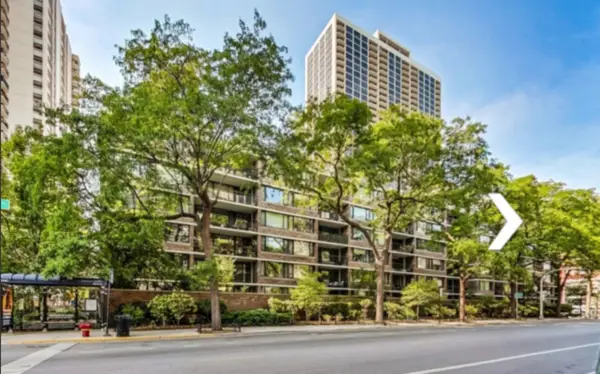 1555 N Sandburg Terrace #406, Chicago, IL 60610