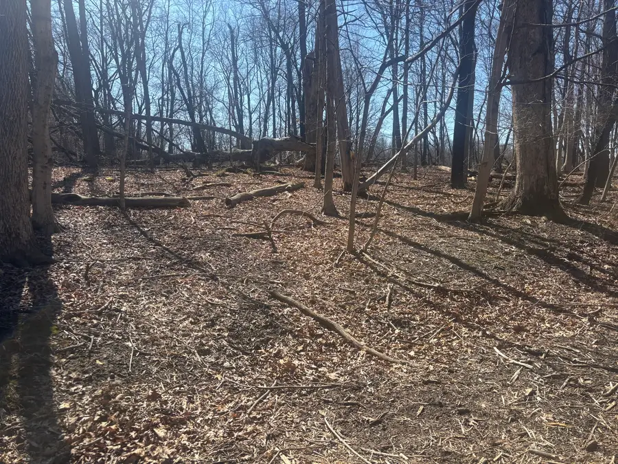 839 Lake Wildwood Drive, Varna, IL 61375 - #2