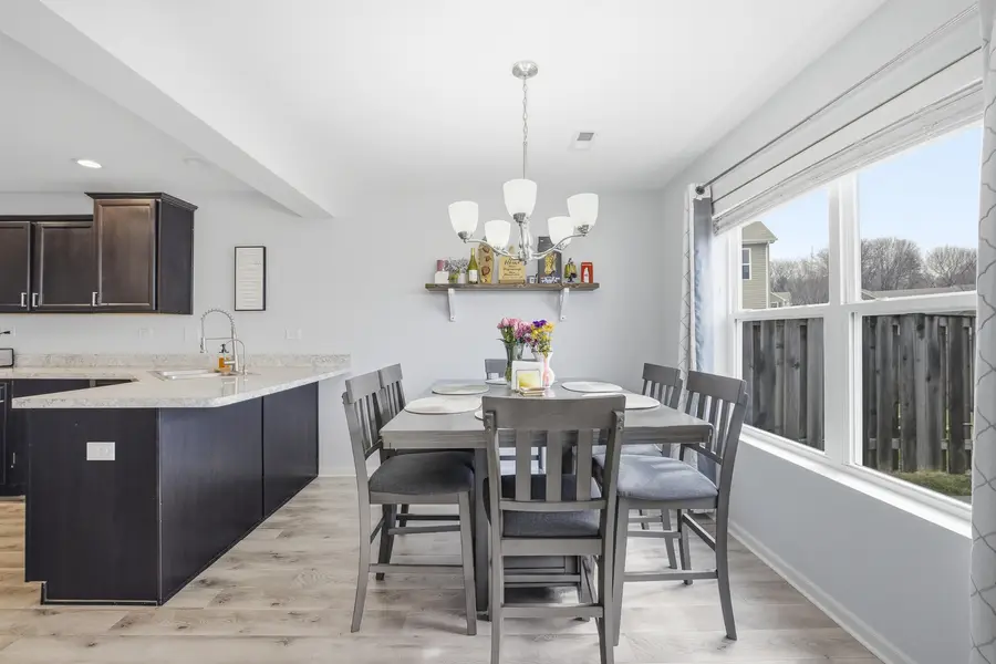 171 Maryland Lane, Pingree Grove, IL 60140 - #3