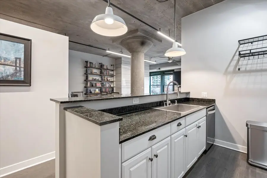 411 W Ontario Street #515, Chicago, IL 60654 - #3