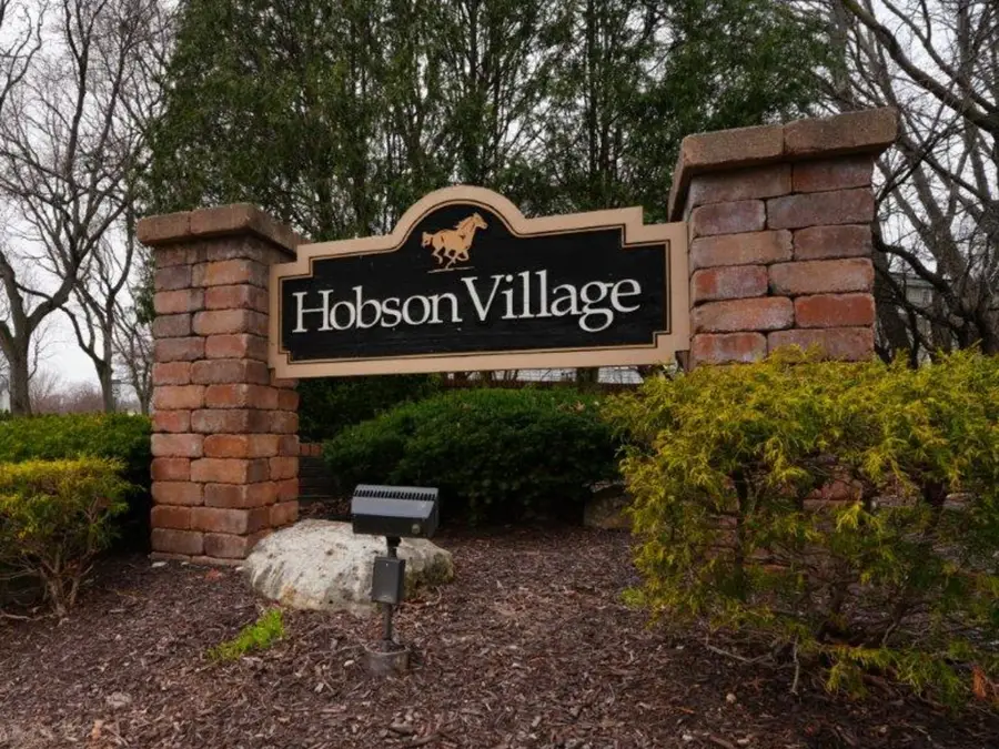 1006 Whirlaway Avenue, Naperville, IL 60540 - #2