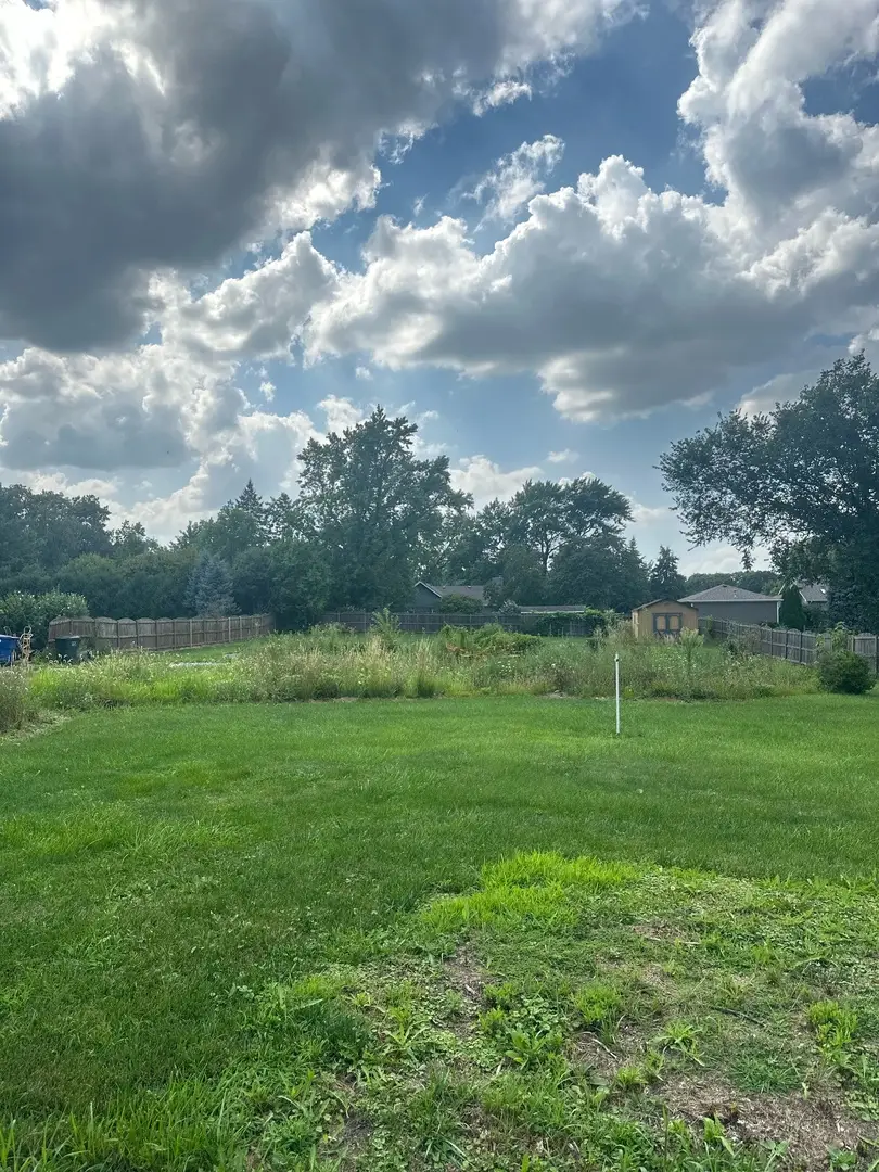 13932 S Elm Street, Homer Glen, IL 60491 - #2