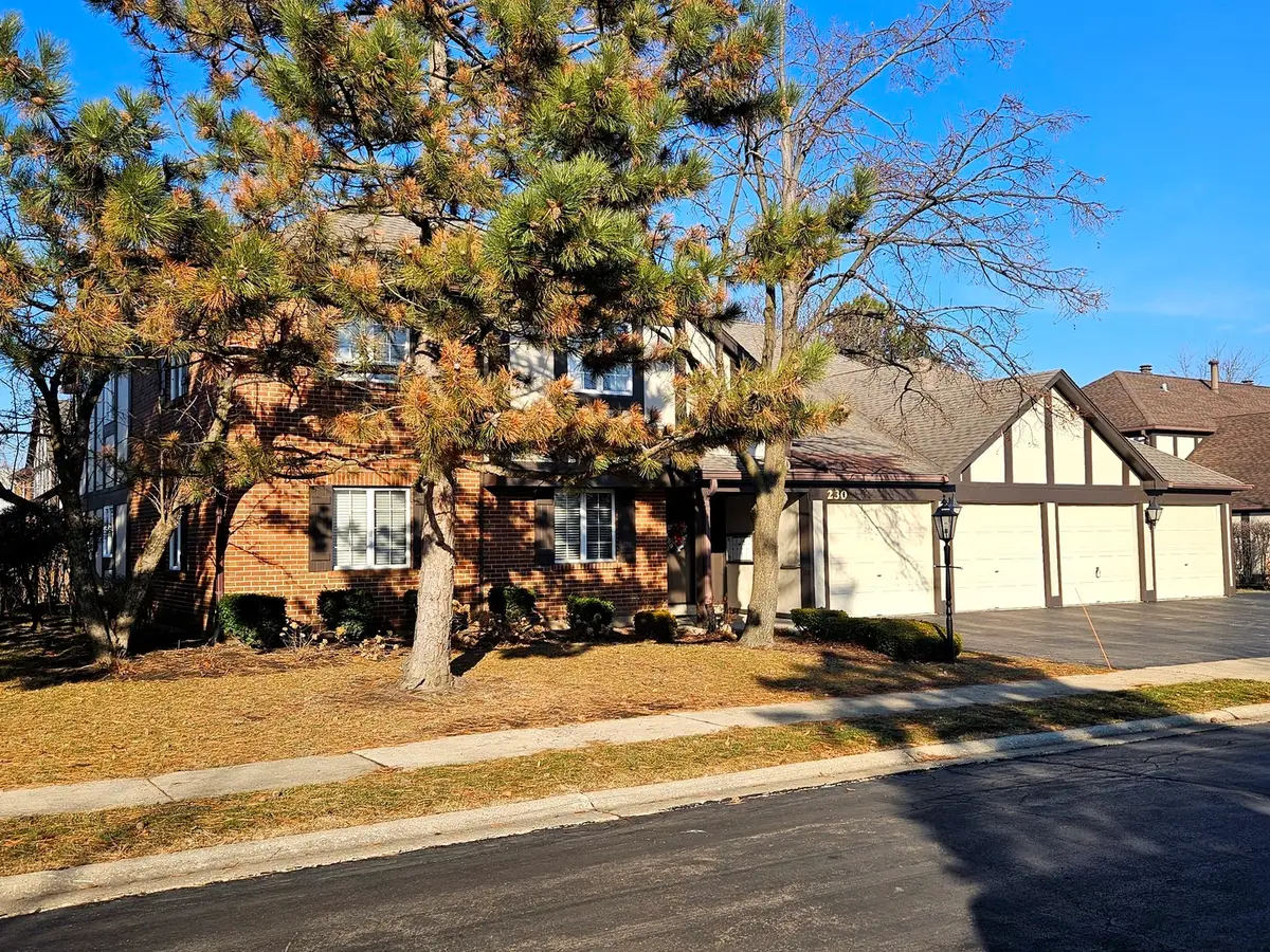 230 Windsor Lane #A, Willowbrook, IL 60527 - #1