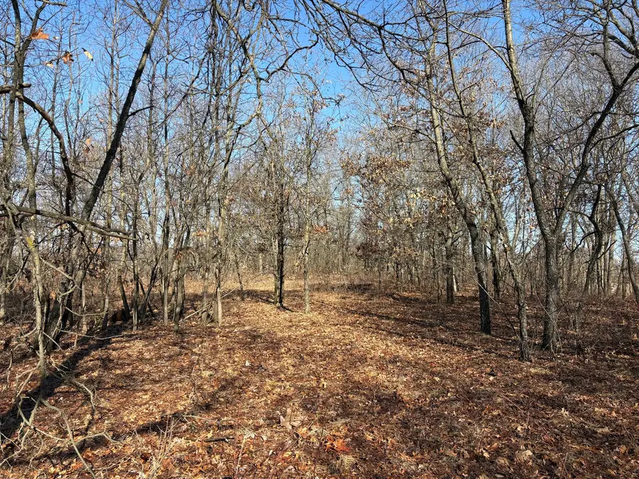 10000 4000s Road, Saint Anne, IL 60964 - #2