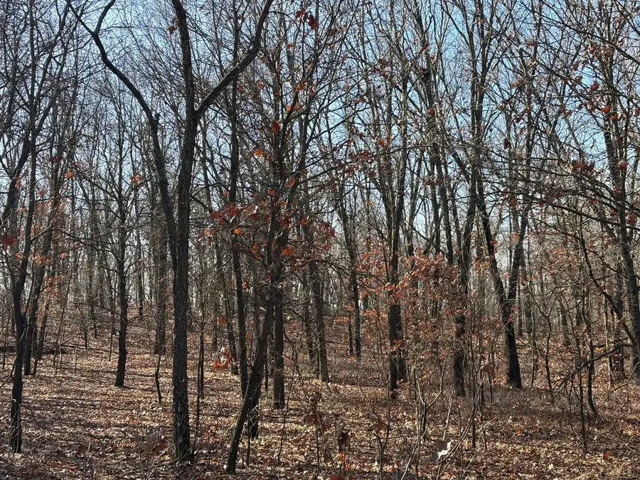 10000 4000s Road, Saint Anne, IL 60964 - #3