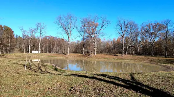 0 Gerard Road, Mcclure, IL 62957