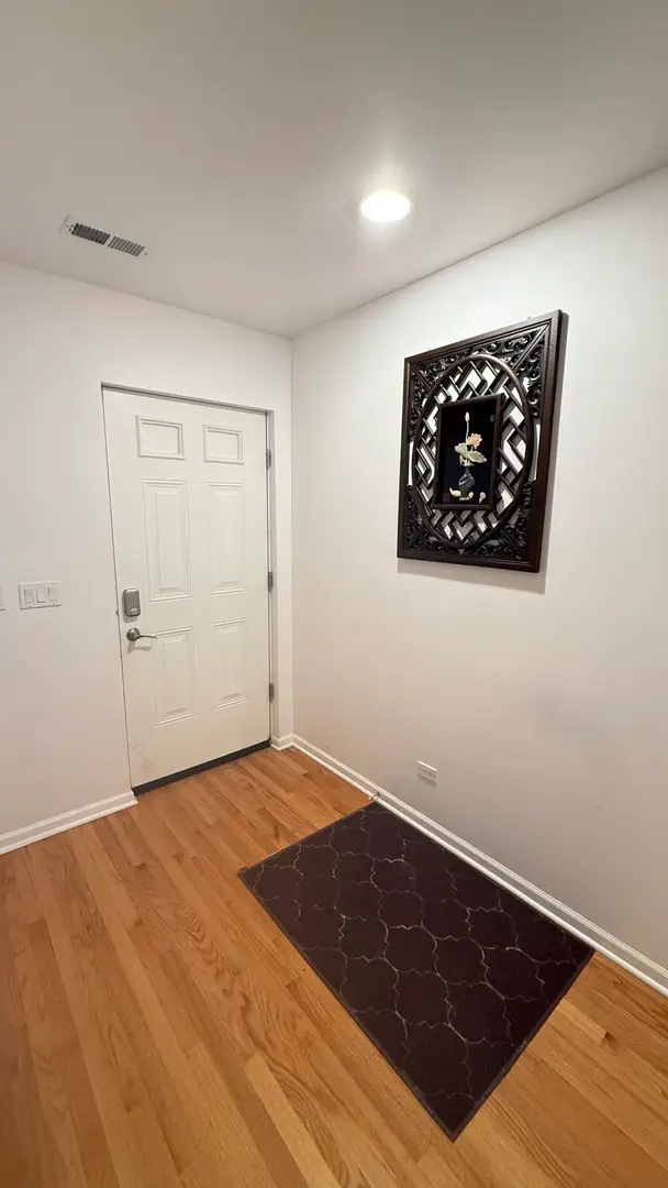 338 E 25th Place, Chicago, IL 60616 - #3