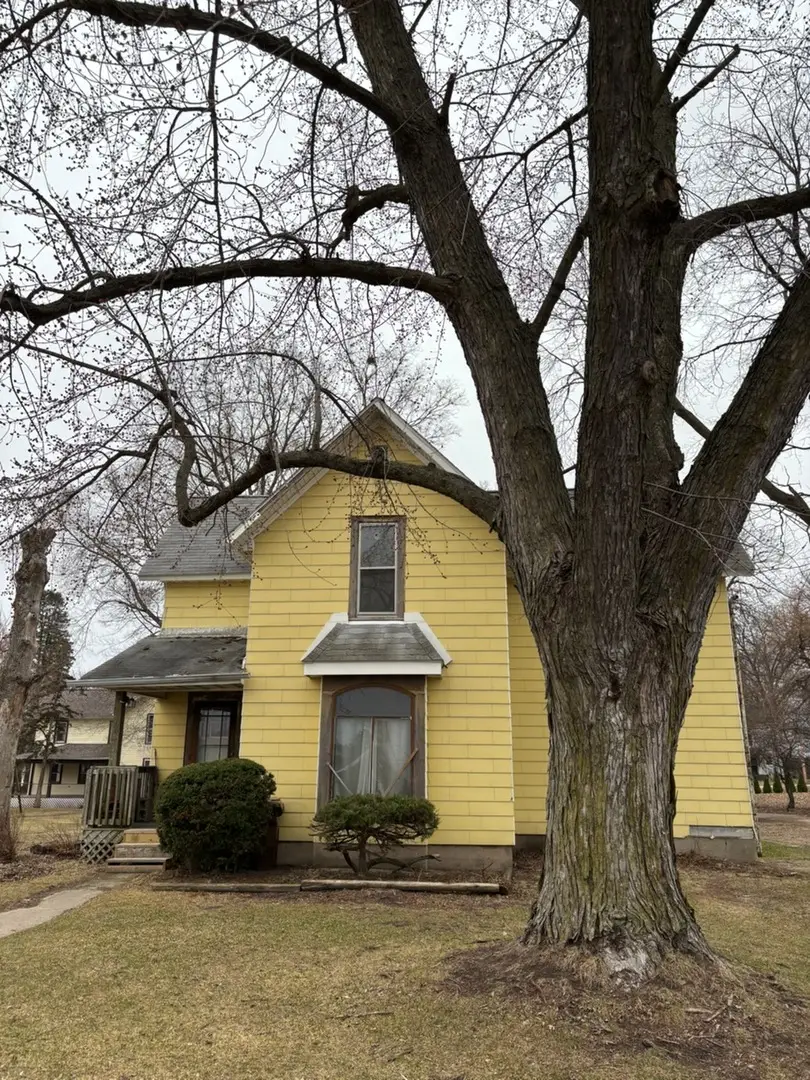 501 Washington Street, Prophetstown, IL 61277 - #1