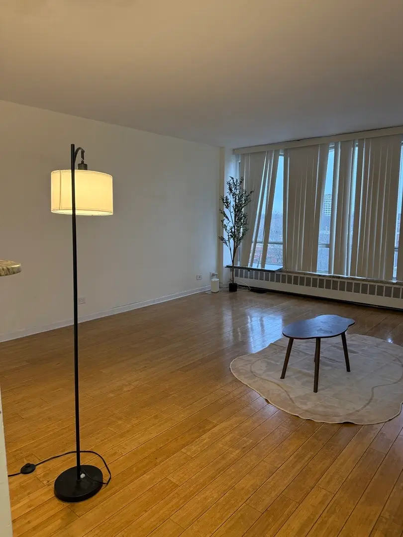 1450 E 55th Place #720S, Chicago, IL 60637 - #3