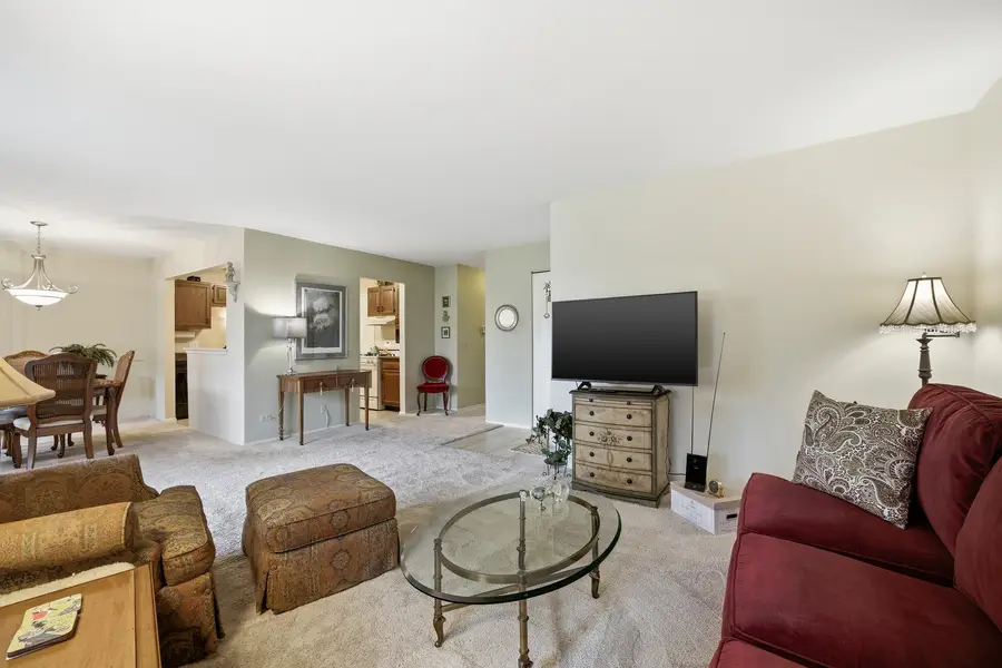 132 Wolcott Court #M1, Schaumburg, IL 60193 - #2