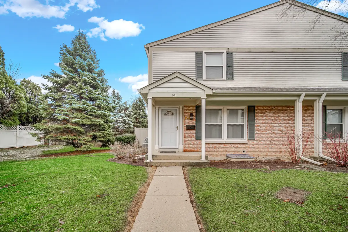 613 Shaw Court, Schaumburg, IL 60194 - #1