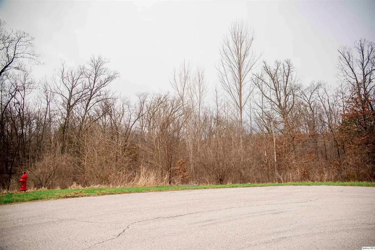 4604 Barbara Jane Court, Quincy, IL 62305 - #1