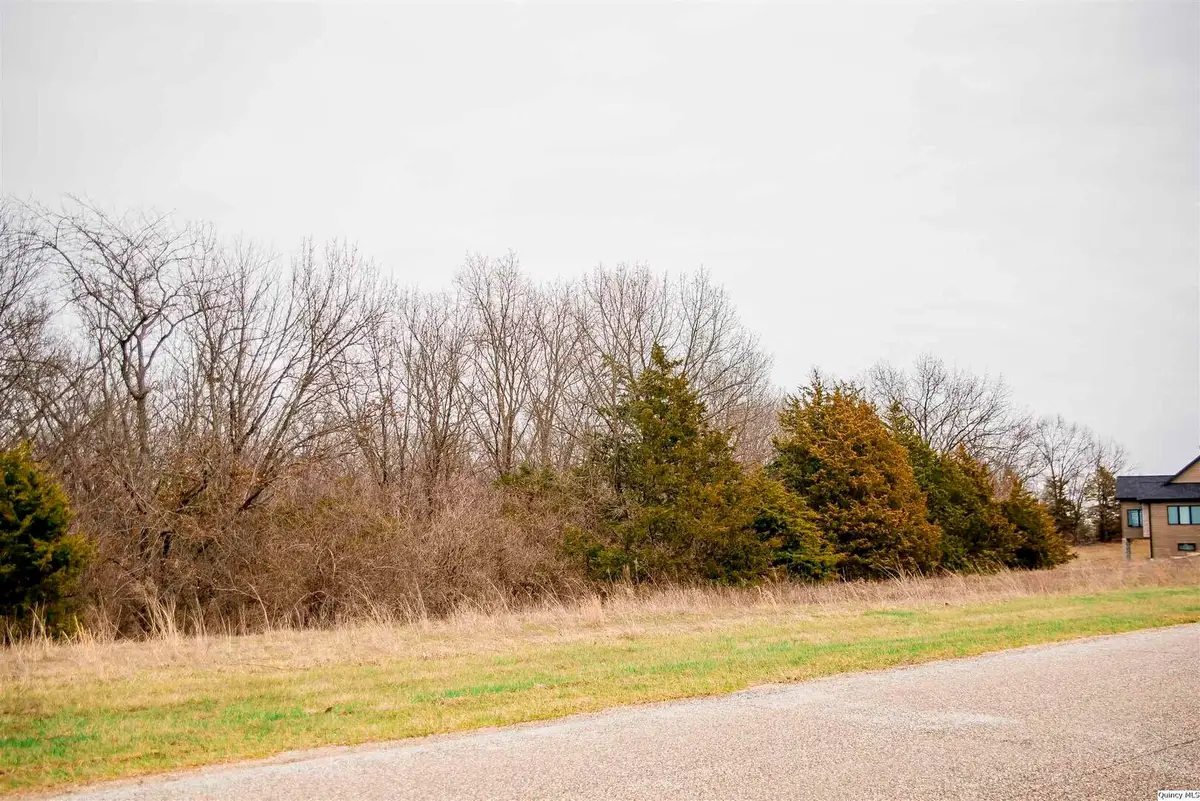 4617 Oakwood Dr, Quincy, IL 62305 - #1