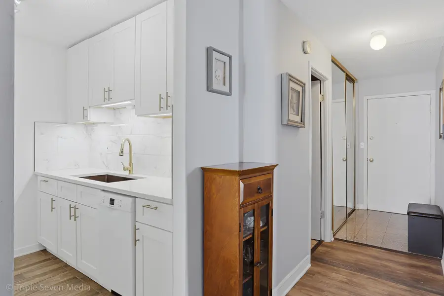 1043 S York Road #402, Bensenville, IL 60106 - #2