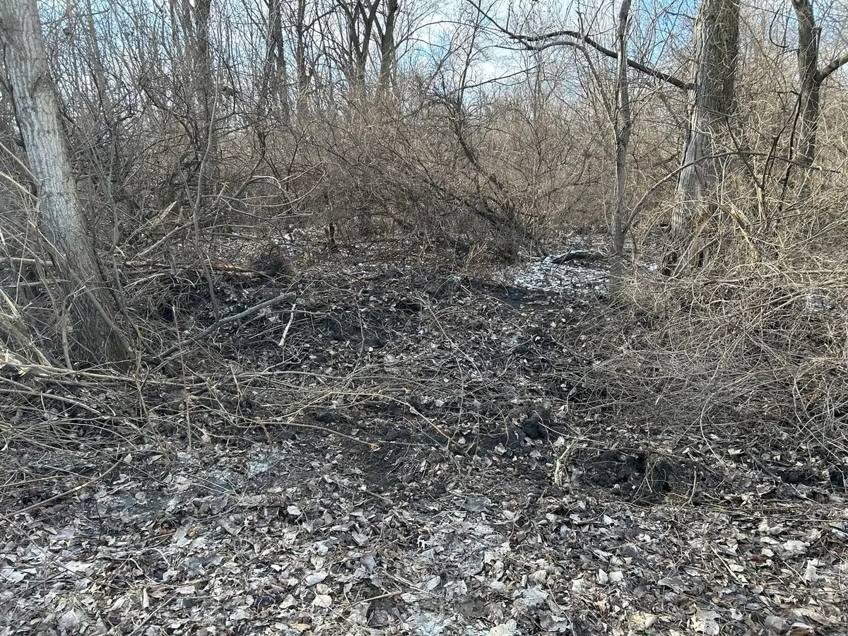 15000 15000 Road, Pembroke, IL 60958 - #1