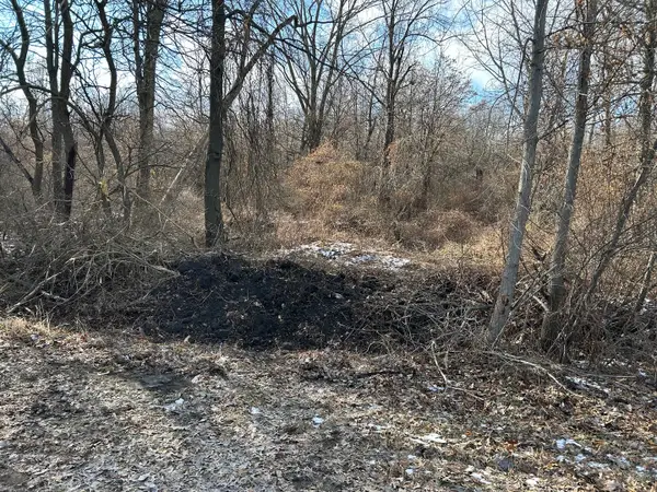 15001 15000 Road, Pembroke Twp, IL 60958