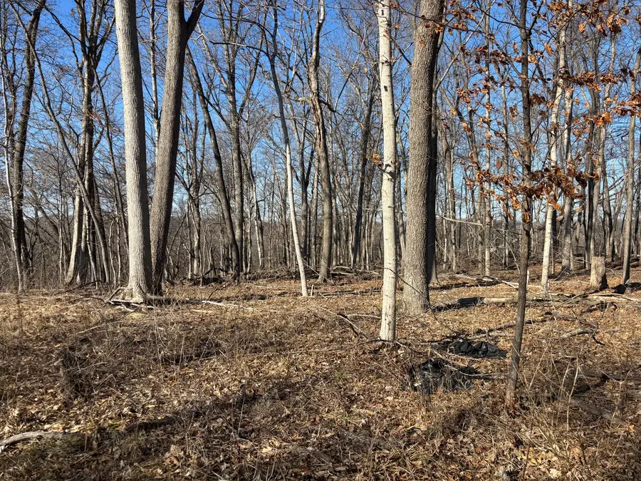 1783 Blueberry Drive, Varna, IL 61375 - #2