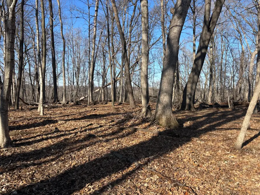 1783 Blueberry Drive, Varna, IL 61375 - #3