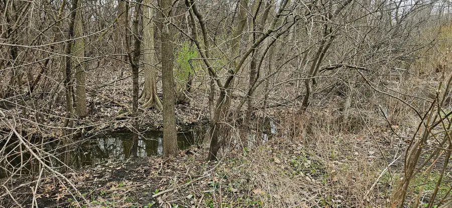 89 E 227th Place, Steger, IL 60475 - #2